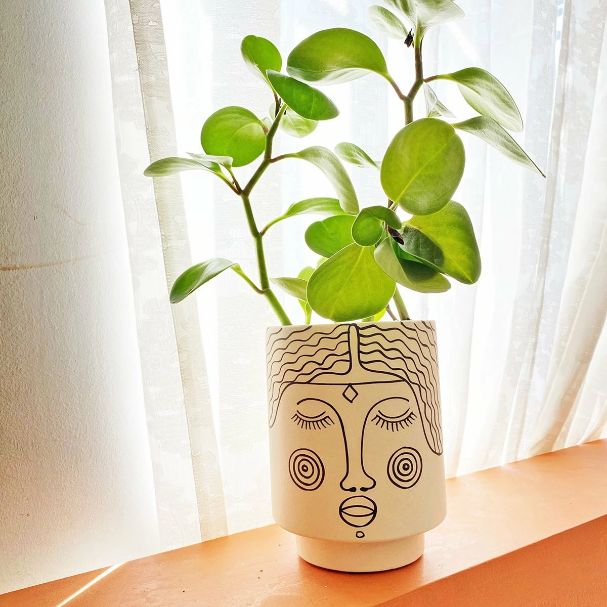 Jungalow® Planters Agatha Kaya Face Pot By Justina Blakeney™ 7 Jungalow® Planters Agatha Kaya Face Pot By Justina Blakeney™