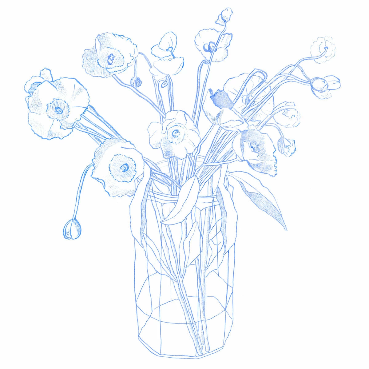 New Fleur De Papier Art Print By Chloe Purpero Johnson 3 New Fleur De Papier Art Print By Chloe Purpero Johnson