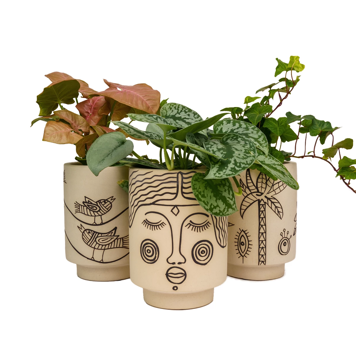 Jungalow® Planters Agatha Kaya Face Pot By Justina Blakeney™ 8 Jungalow® Planters Agatha Kaya Face Pot By Justina Blakeney™