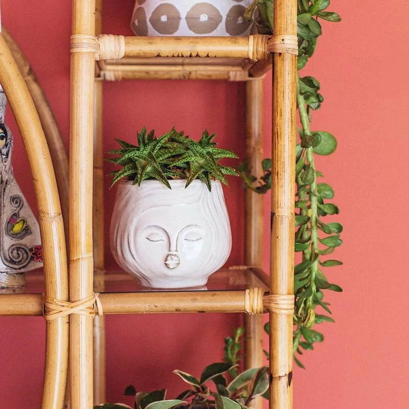 HomArt Pucker Up Planter Planters 5 HomArt Pucker Up Planter Planters