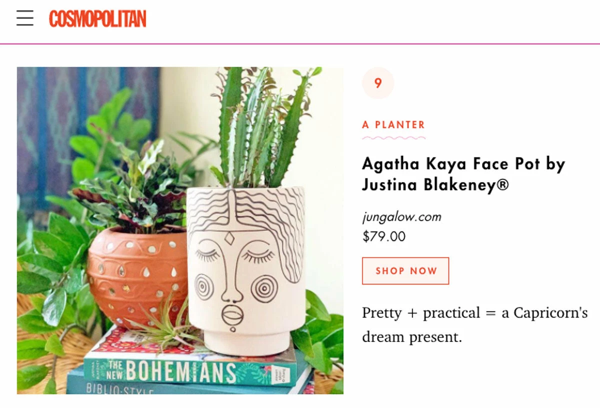 Jungalow® Planters Agatha Kaya Face Pot By Justina Blakeney™ 6 Jungalow® Planters Agatha Kaya Face Pot By Justina Blakeney™