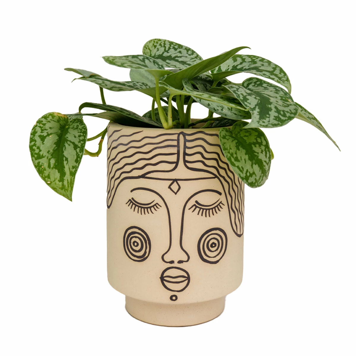 Jungalow® Planters Agatha Kaya Face Pot By Justina Blakeney™ 4 Jungalow® Planters Agatha Kaya Face Pot By Justina Blakeney™