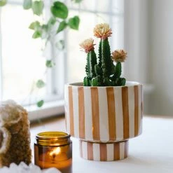 Jungalow® Kaya Shorty Ceramic Planter By Justina Blakeney™