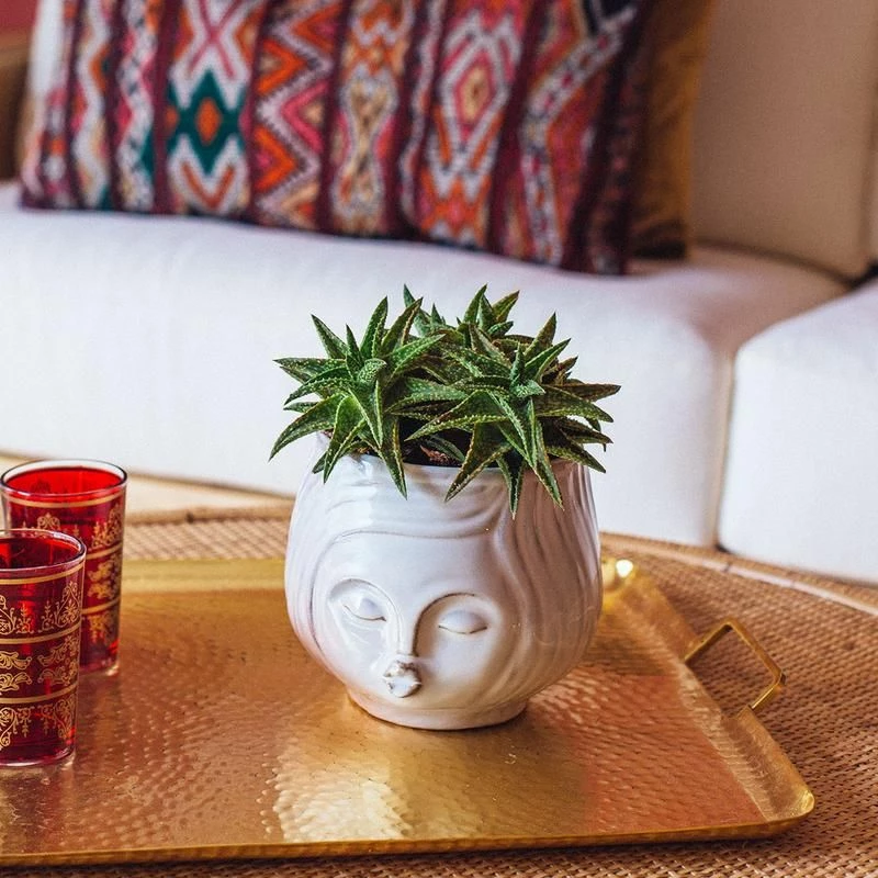 HomArt Pucker Up Planter Planters 6 HomArt Pucker Up Planter Planters