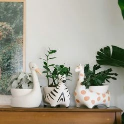 Jungalow® Zebra Savannah Garden Pot By Justina Blakeney™ 13 Jungalow® Zebra Savannah Garden Pot By Justina Blakeney™