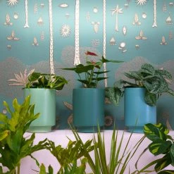 Jungalow® Kiwi Green Kaya Pot By Justina Blakeney™ Planters