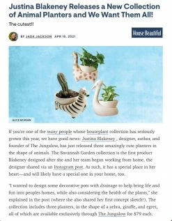 Jungalow® Zebra Savannah Garden Pot By Justina Blakeney™ 14 Jungalow® Zebra Savannah Garden Pot By Justina Blakeney™