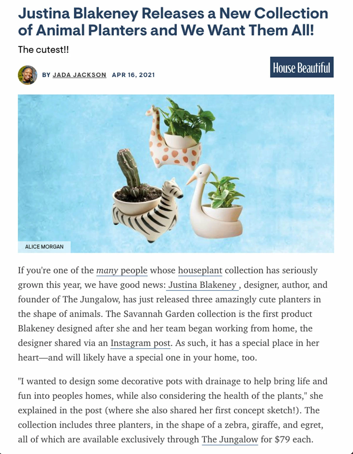 Jungalow® Zebra Savannah Garden Pot By Justina Blakeney™ 8 Jungalow® Zebra Savannah Garden Pot By Justina Blakeney™